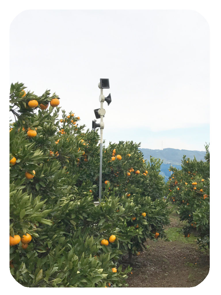 BBスイーパー設置タイプ