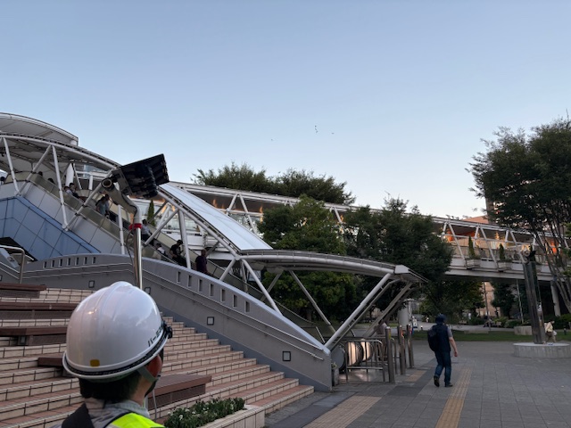 流山市ムクドリ追い払い